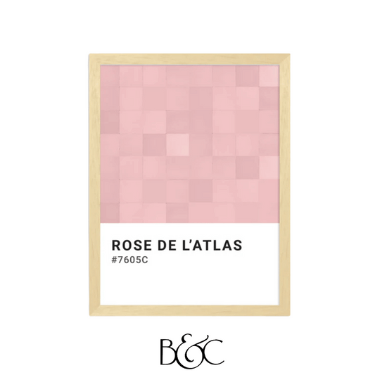 Poster Rose de l'Atlas